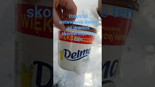 #minecraft #subscribe #delma #dranhis #daily @dranczips #t_smp