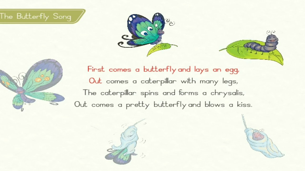 Butterfly rhyme YouTube