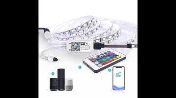 How do I connect my magic home lights to WIFI