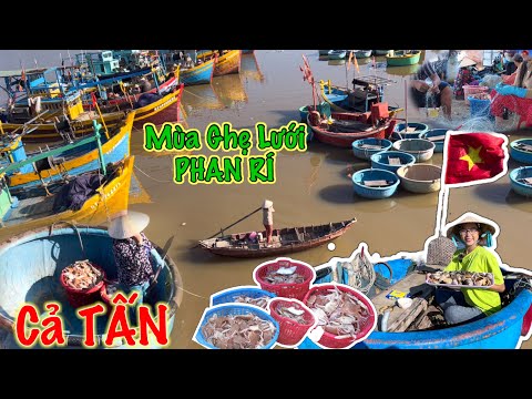 Video Phát hiện LÀNG CHÀI GHẸ Dưới Cầu SÔNG LUỸ PHAN RÍ CỬA... - youtube