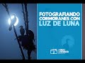 1 FOTO - 1 HISTORIA: Cormoranes y la Luna / Paulo Olivier Hanshing