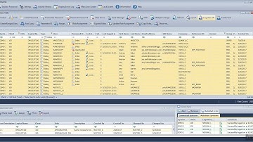 License Reporting - All dialog users, on client 100, with blank license
