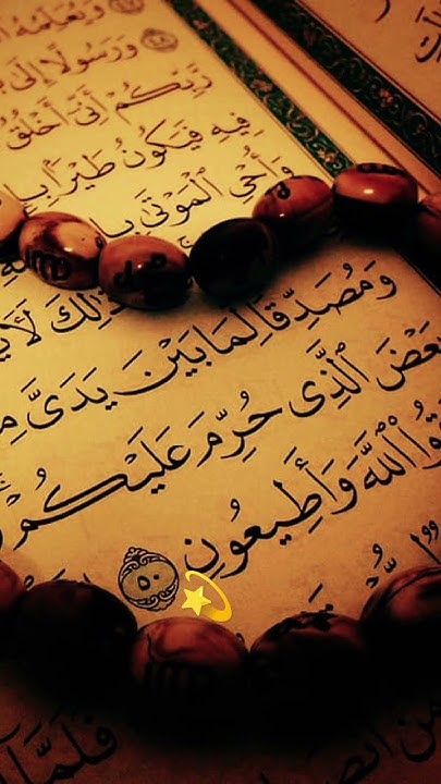 quran-translate-in-urdu-islamicshort-viralshort-shorts