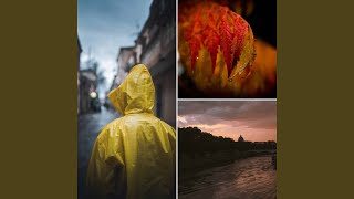 Simple Moods for Freezing December