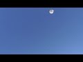 Ð‘ÐµÐ·ÐºÑ€ÑƒÐ¶Ð½Ñ‹Ðµ Ð³Ð¾Ð»ÑƒÐ±Ð¸ Ð’Ð¾Ñ€Ð¾Ð½ÐµÐ¶ÑÐºÐ¾Ð¹ Ð¾Ð±Ð»Ð°ÑÑ‚Ð¸