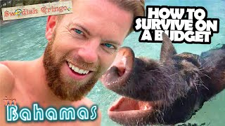 Travel Bahamas cheap – 9 free things to do in Nassau & swim with pigs | Budget guide 1 week