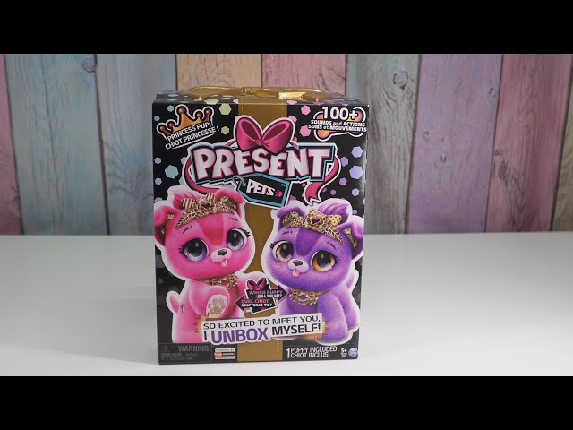 Present Pets Cici Fancy Puppy Interactive Pink Plush Pet Toy 100