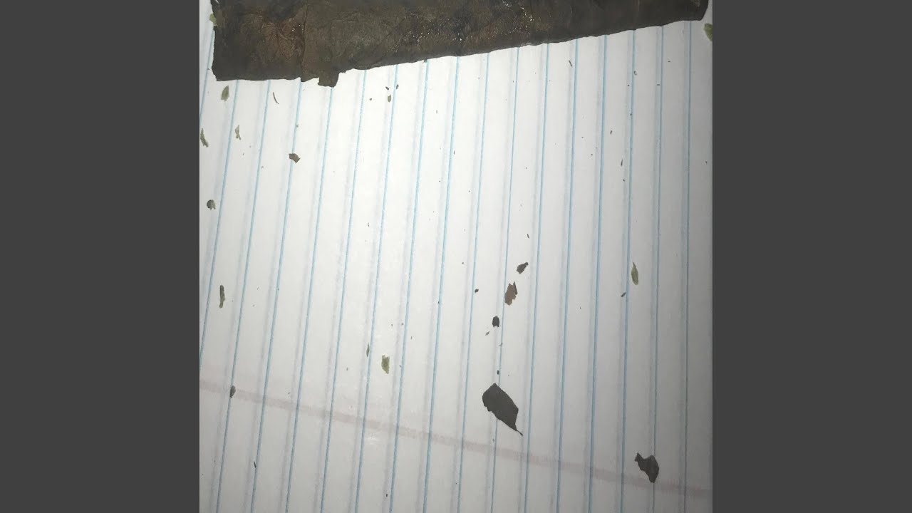 Real mr rage (feat. Twerkum & Scamgravy)