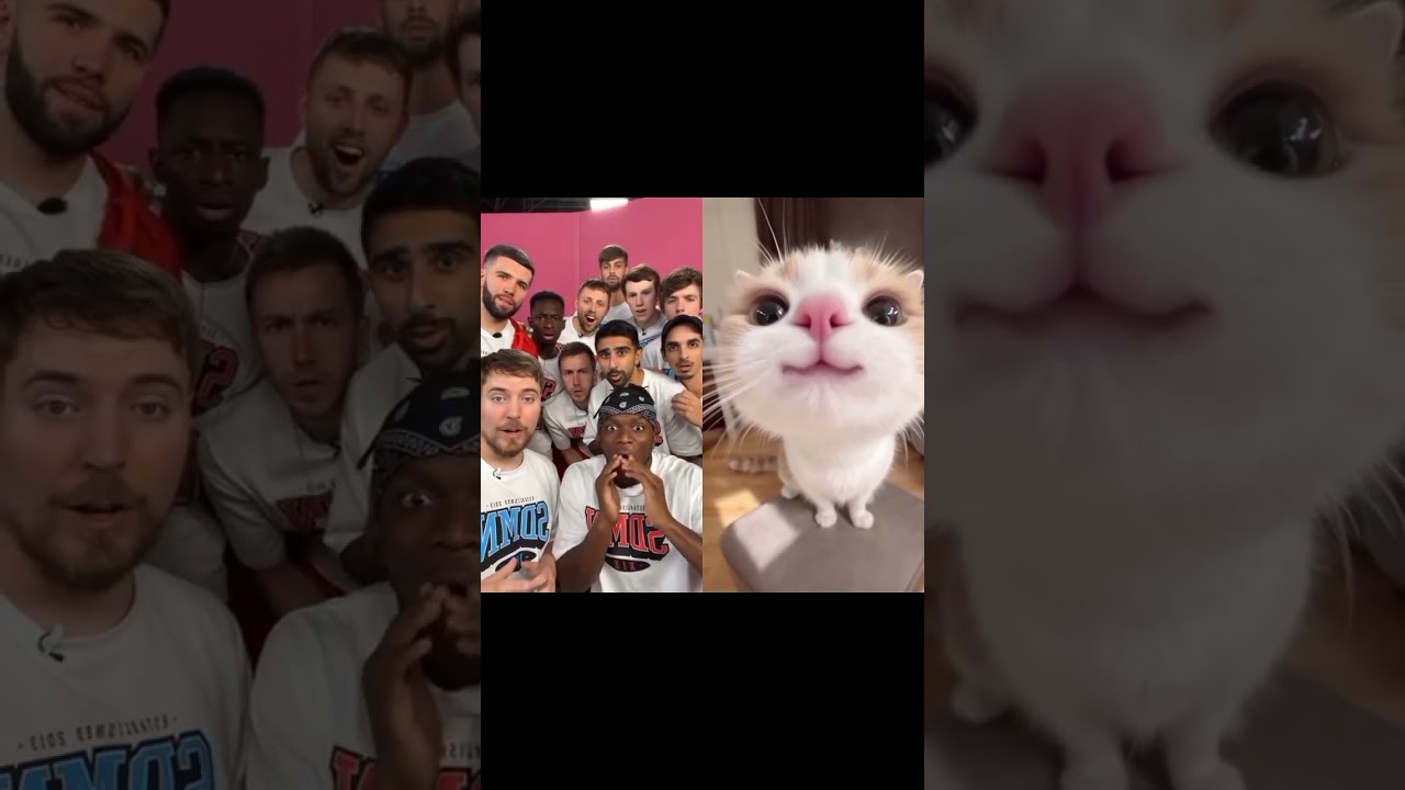 When your Cat does cute things 💯❤️‍🩹 