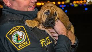 Welcome to Henrico Police Jolene!