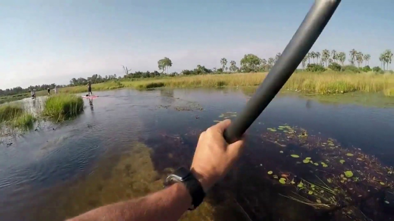 Escape+Explore - Okavango SUP Expedition