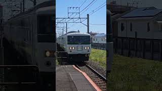 185系　臨時特急　伊豆急下田駅行き