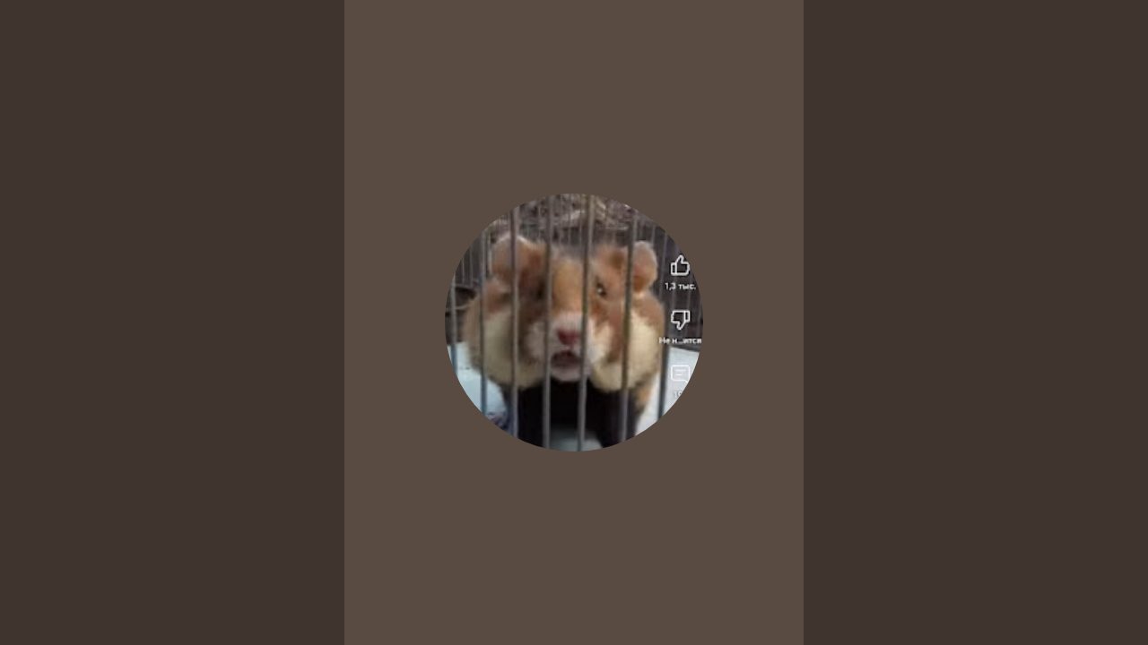 //html в прямом эфире!