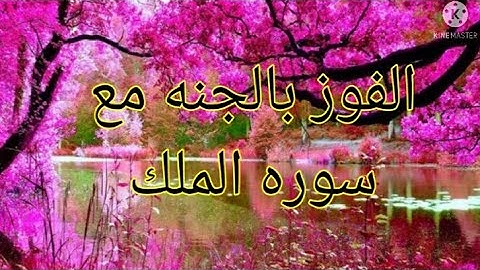السوره المنجيه من عذاب القبر .سوره الملك للشيخ مشارى العفاسى