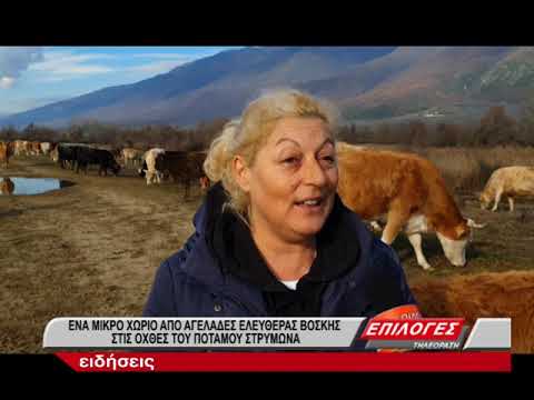 Βίντεο: Πόσο πληρώνουν οι κτηνοτρόφοι για τα δικαιώματα βοσκής;