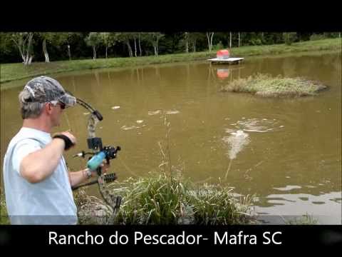 Carpa com arco e flecha - PSE Archery