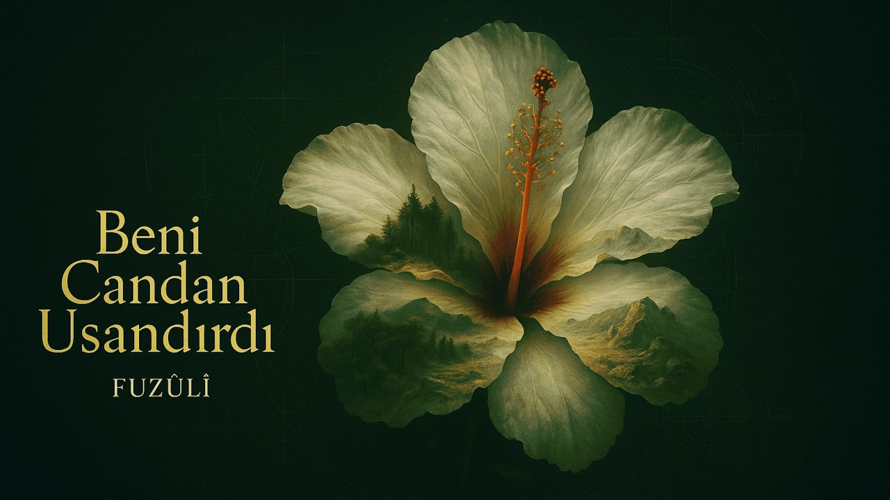 Beni Candan Usandırdı - Fuzûli Anatolian Soul | Psychedelic Anatolian Rock