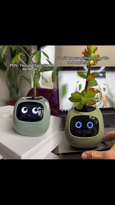 690539558445518848 rendered