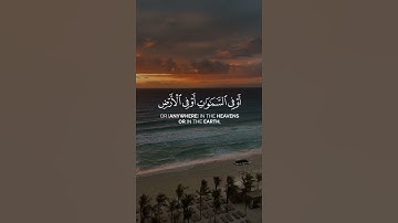 سورة لقمان الآية (١٦) القارئ (اسلام صبحي)