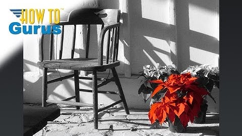 How You Can Add a Color Splash to a Black and White Photo in Photoshop Elements