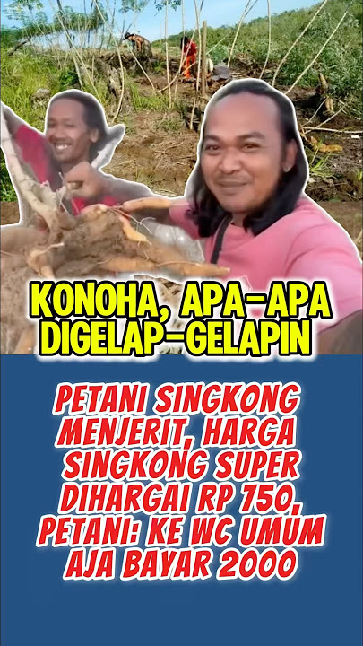 Nasib Jadi Petani di Konoha, Singkong Hanya Rp 750 Perkilogram #petani #singkong #konoha