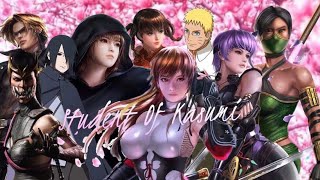 Me Lei Fang Doa5Lr Offline Matches