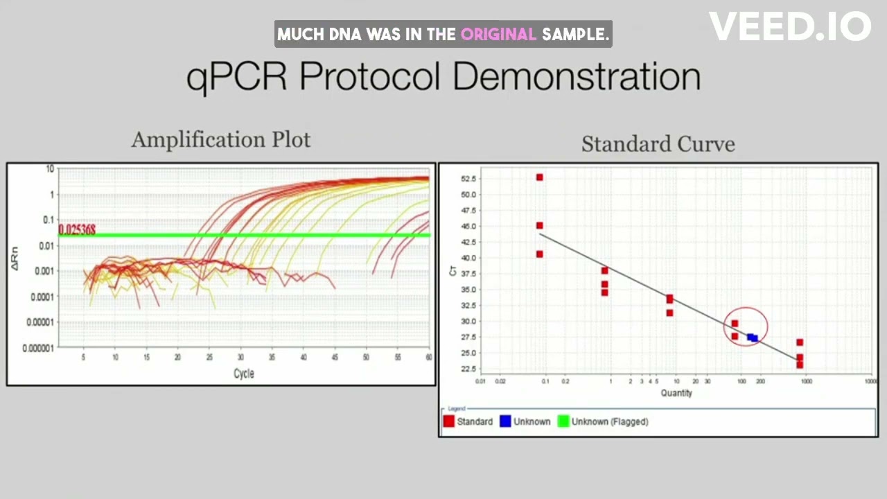 Preview image for 208: Development of a qPCR Assay for Clinically Relevant Bacteria Used in Disinfection Confirmation video