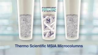 What are MSIA  Microcolumns?