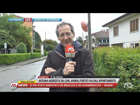 A3 NEWS PRIMA EDIZIONE | 23/04/2024