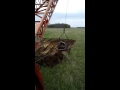 Cotter Dragline Services, Inc., stripping topsoil