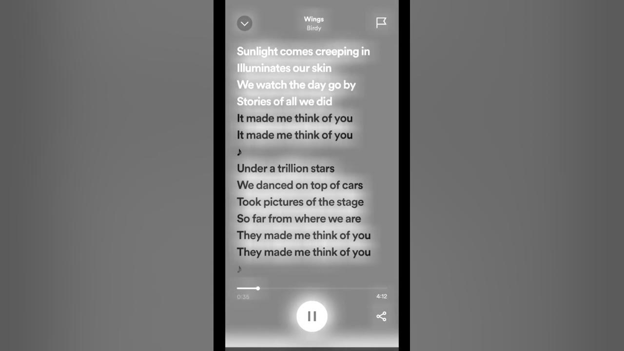 SpeedUP | Birdy - Wings