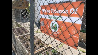 Crete Academy Raised Garden Bed Transformation