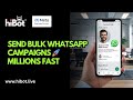 How to Send Bulk WhatsApp Campaigns to Millions Using Hundreds of Numbers | HiBot