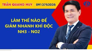 LÀM THẾ NÀO ĐỂ GIẢM KHÍ ĐỘC NH3 - NO2 TRONG AO NUÔI TÔM LÓT BẠT | Trần Quang Huy Official