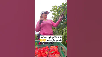بنات بلادي خدامين فنهار الفريز وبلليل البنان اكسبلور اسبانيا 