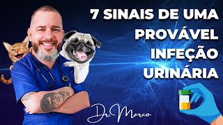 Aula #94 - 7 Sinais de uma provável Infecção Urinária em Cães e Gatos