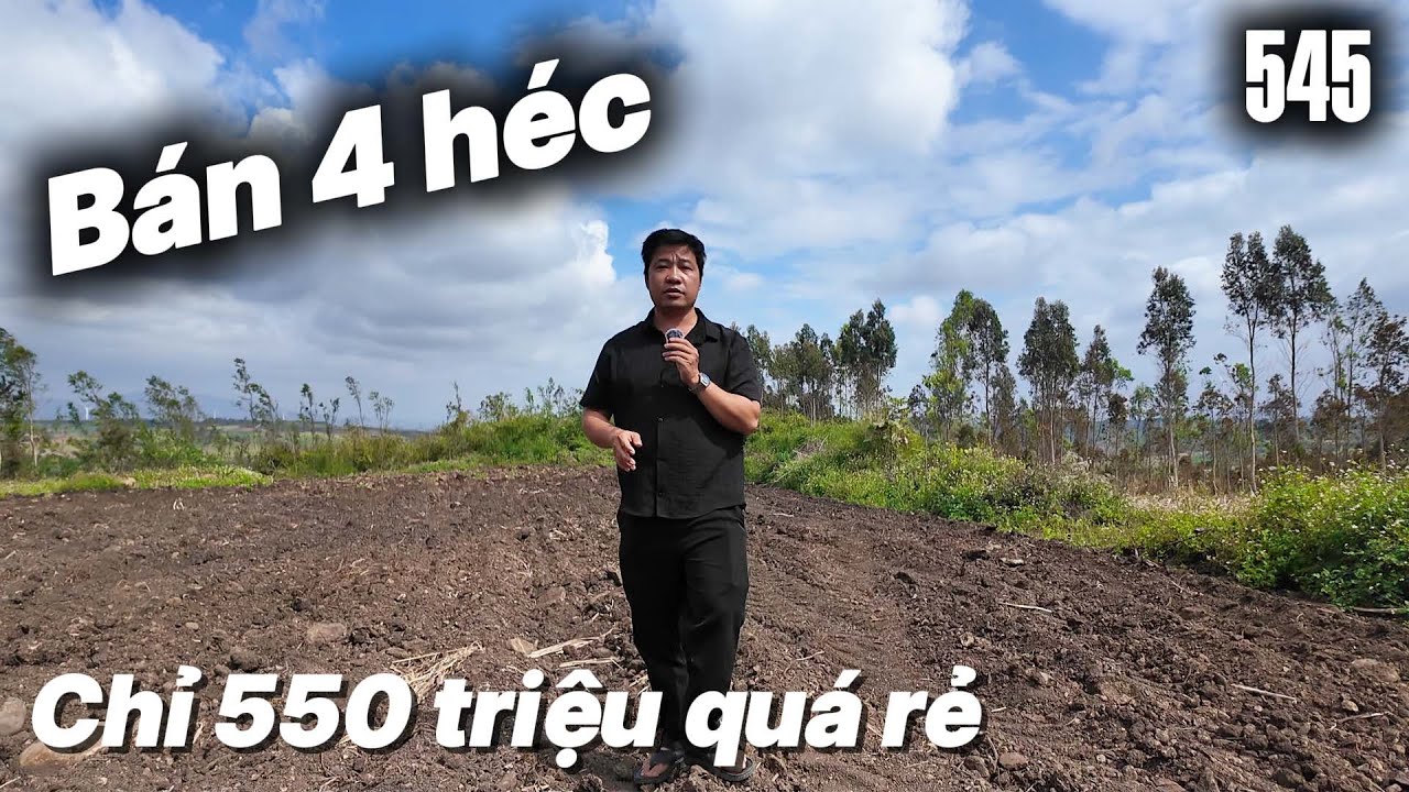 Bán 4 héc chỉ 550 triệu quá rẻ