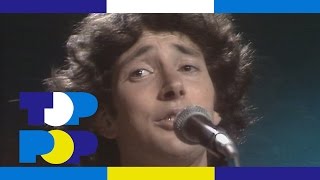 Jonathan Richman The Modern Lovers - Buzz Buzz Buzz Toppop