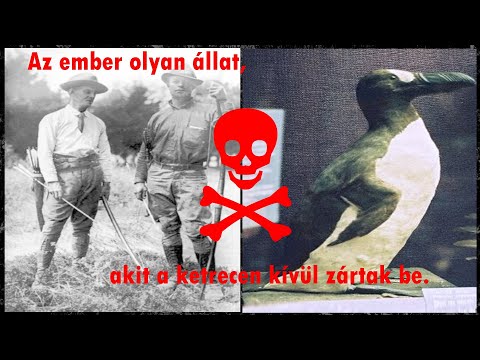 ÁLLATFAJOK, MELYEKET KIIRTOTT