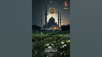 الشيخ محمد ايوب البرمي تلاوة مباركة من سورة الأنعام #اكسبلور #القرآن_الكريم #المصحف