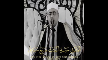 ﴿مَثَلُ الَّذِينَ يُنْفِقُونَ أمْوَالَهُمْ فِي سَبِيلِ اللهِ....﴾ #تلاوة_رائعة القارئ #عبدالناصر_حرك