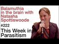 TWiP 222: Balamuthia in the brain with Natasha Spottiswoode