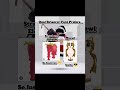 Qual Brianrot Vocês Preferem 🤔 #robloxshorts #stealabrainrot #viral #qualvocêprefere #roblox #fypシ