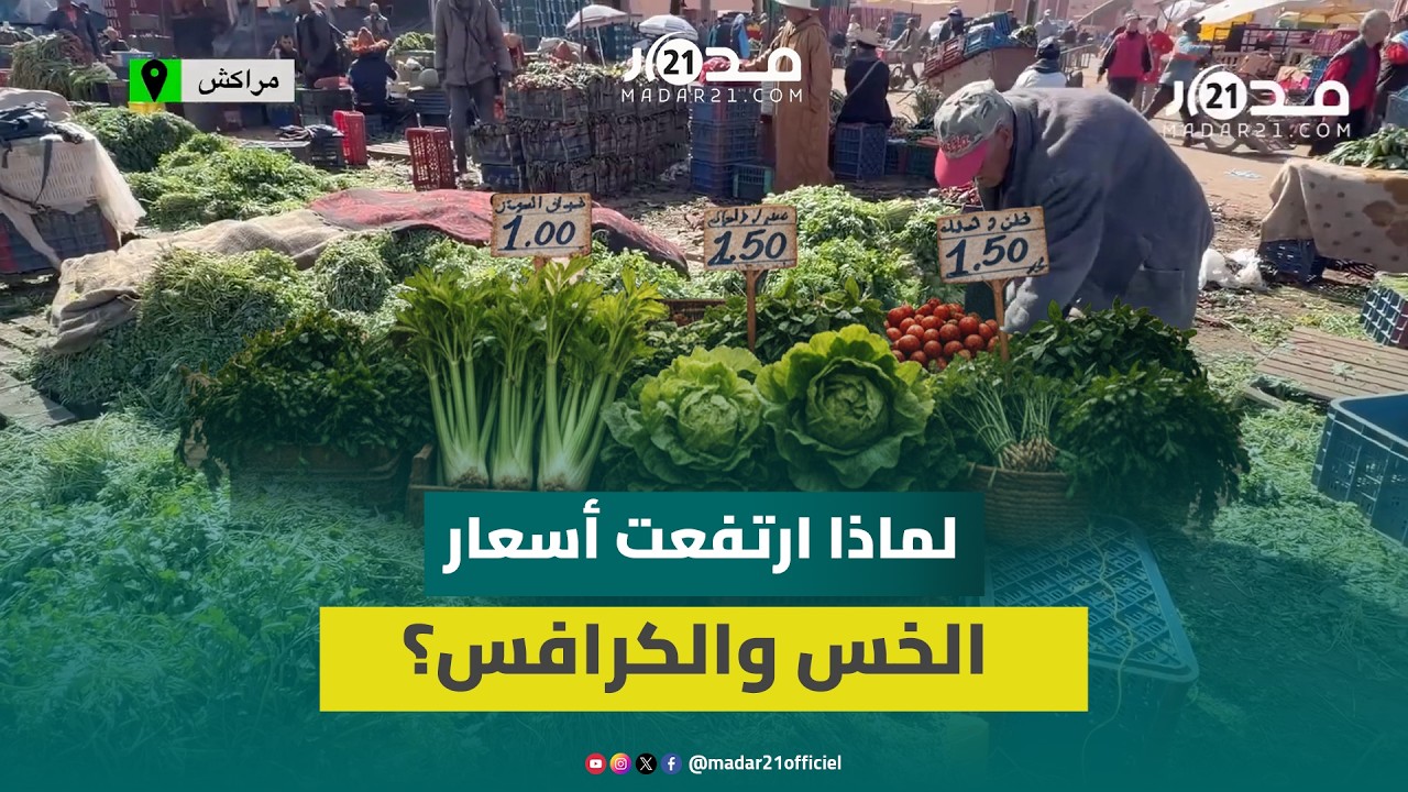 ارتفاع أسعار الكرافس والخس والربيع في أولى أيام رمضان.. تجار يوضحون الأسباب