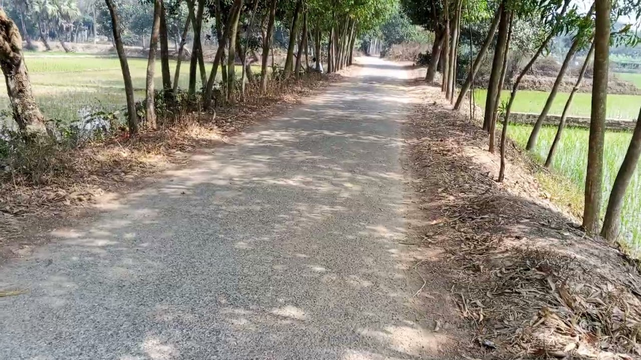 ৮২ শতাংশ জমি বিক্রি করা হবে একদম পাকা রাস্তা সংলগ্ন গাজীপুর জেলা শ্রীপুর থানা মাওনা ইউনিয়ন 