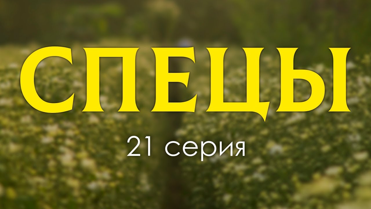 спецы сериал 2017. сериал спецы яна соболевская. спецы продолжение. спецы сериал 2017 актёры. сериал спецы богдана.