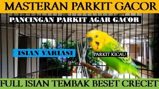 MASTERAN PARKIT GACOR ! Full Materi Tembak Beset Crecet For Murai C ijo Anis Kacer / Budgie Parakeet