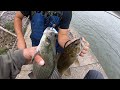 Ohio River Dam Multispecies Fishing