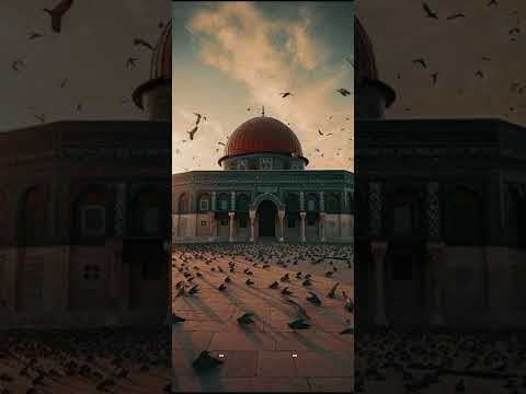 سوف نبقى هنا أحمد النفيس 