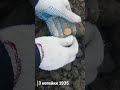 Поиск монет с помощью металлоискателя!